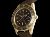 Rolex Gmt Master Tiger Eye Root Beer Nipple Dial  Watch  1675
